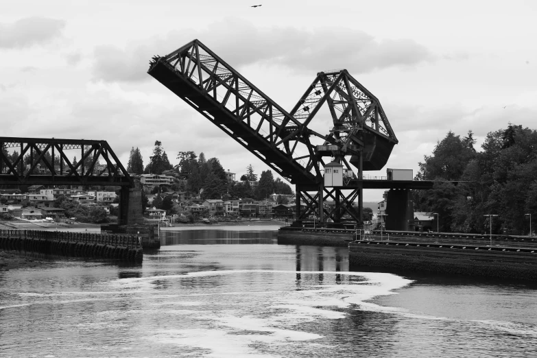 a bridge spanning the width of the water and trees