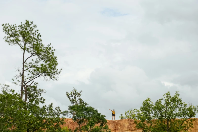 a person stands on top of a hill with a tall tree in the foreground