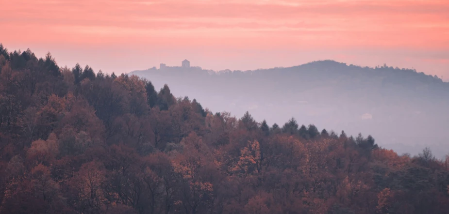 some tall trees near a hillside with a few hills in the background