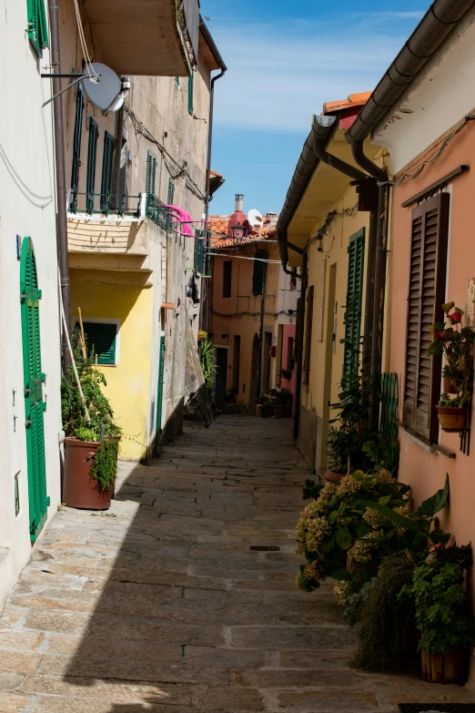 an alley with a few windows, shutters and plants