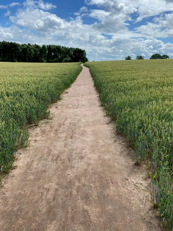 there is a dirt path going through a large field