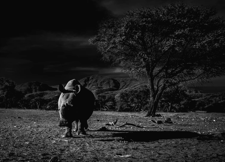 a man and his horse under the shade of a tree