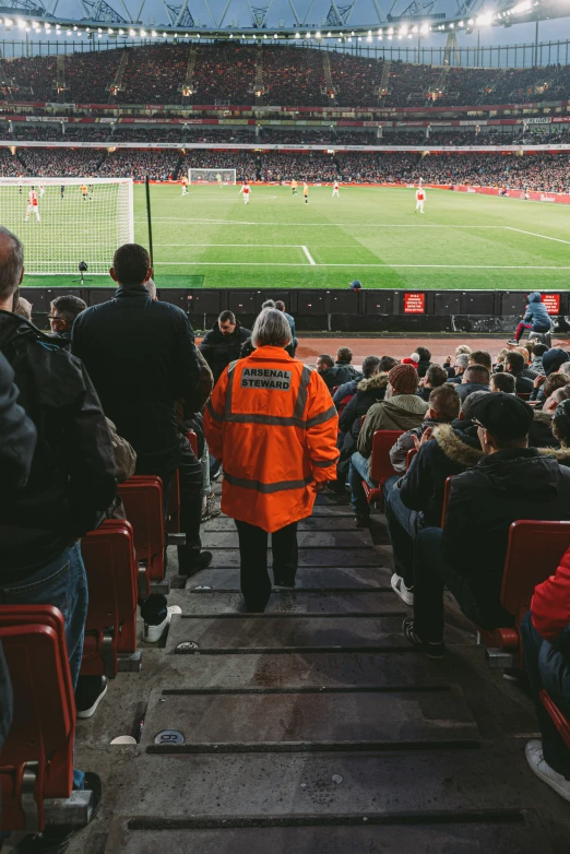 the fans are watching the soccer game on the field