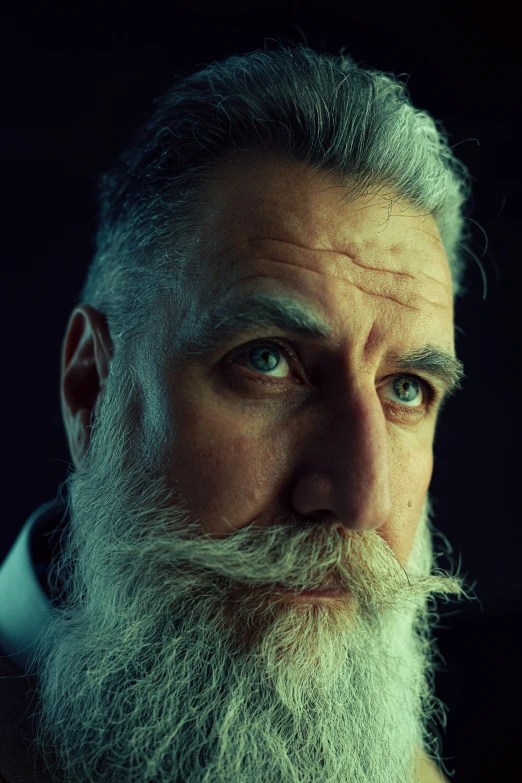 a man with grey hair and a beard looks at the camera