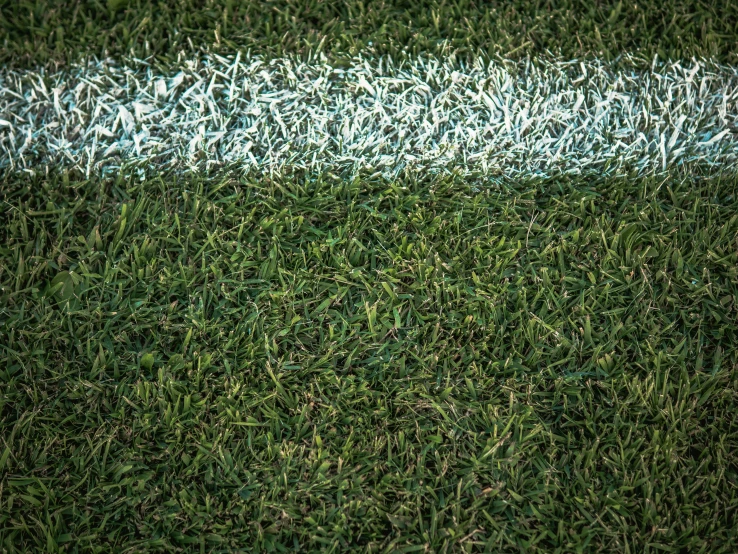 closeup of white strip on grass with white line