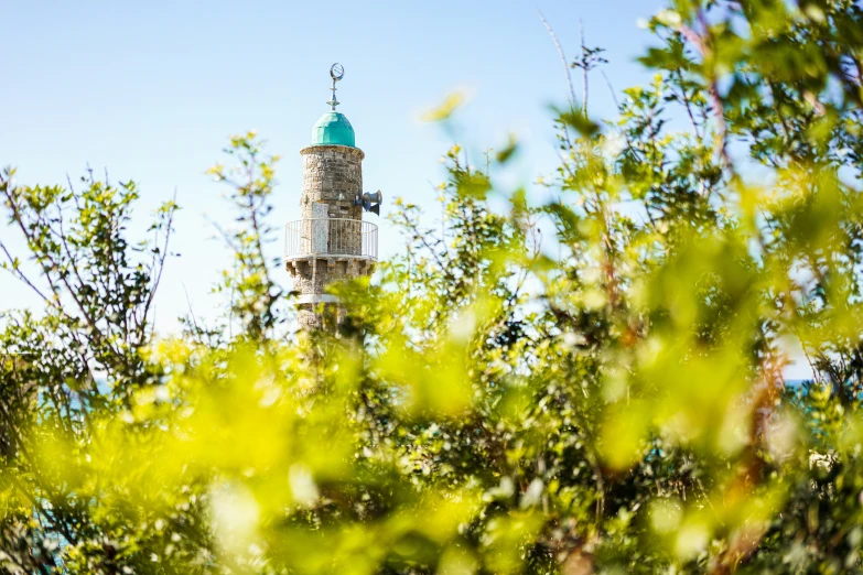 there is a large tower that is next to some bushes