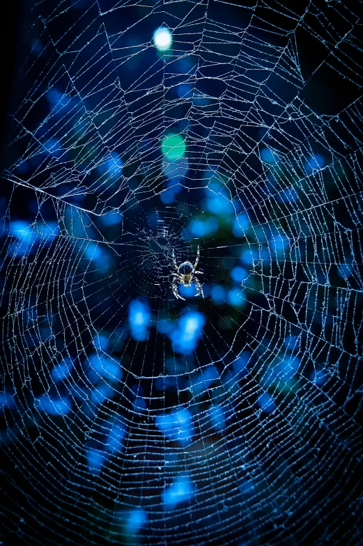 spider web with blue lights in the center