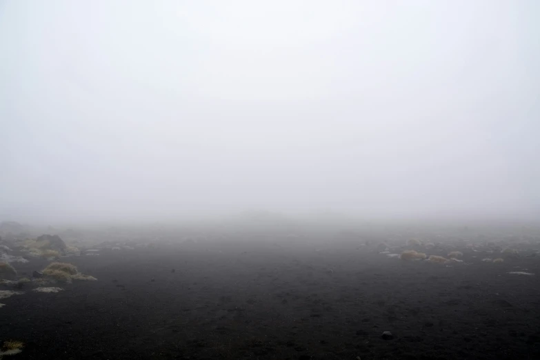 fog hangs in the distance as a single plane flies overhead