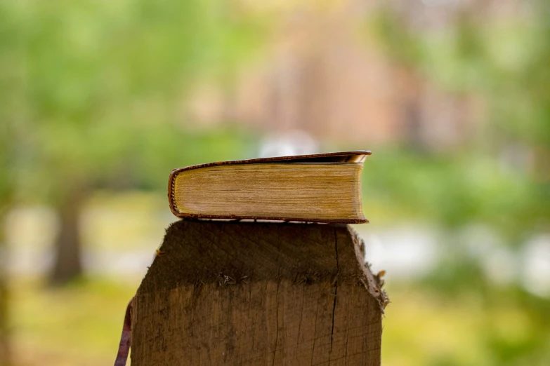 a book sitting on top of a wooden post