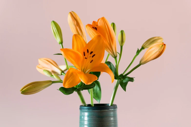 flowers inside a blue vase against a gray background