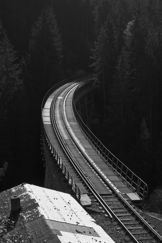 black and white pograph of railway tracks near trees