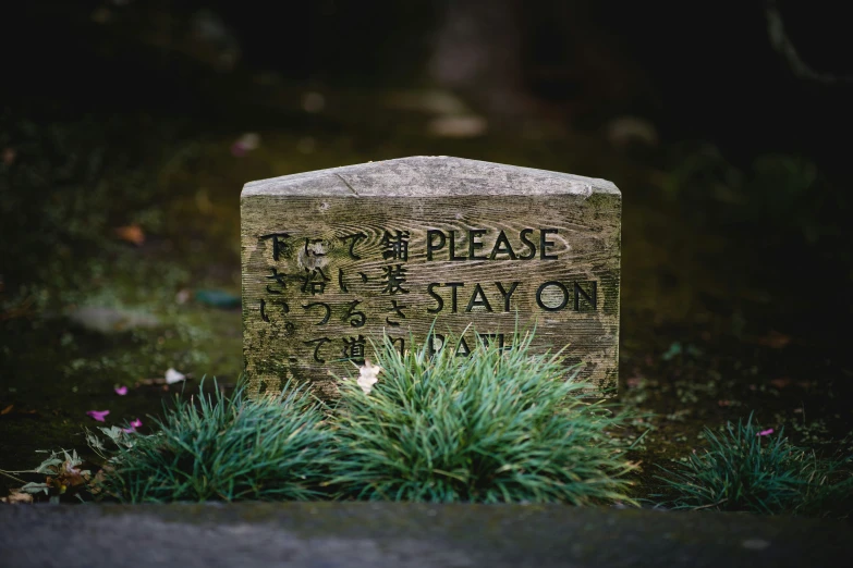 a marker for to peace stay on sits in the grass