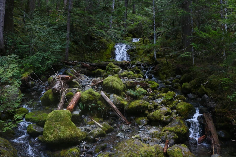 a small waterfall flowing down a moss covered rock covered hillside