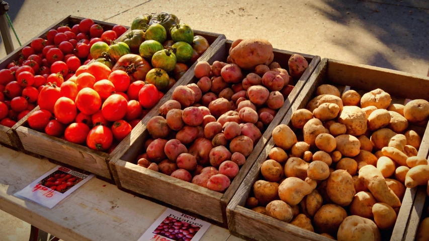 fruits and vegetables displayed on wooden boxes with price tags