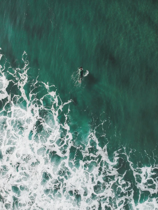 an aerial view of a surfer and some green water