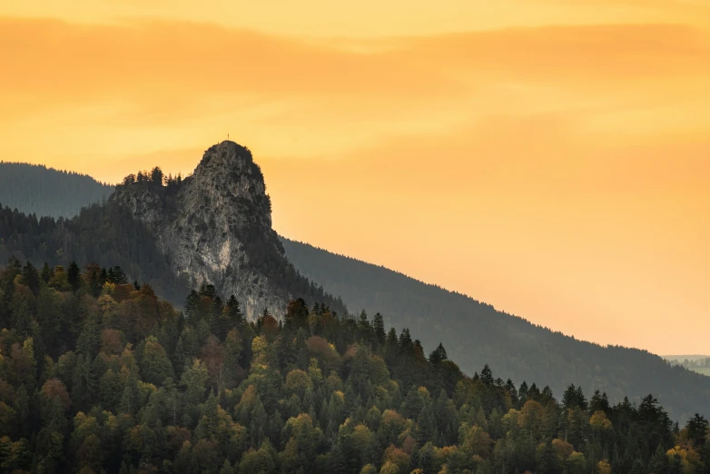 a mountain side with trees and yellow light