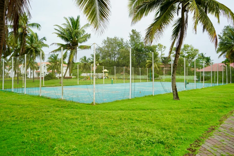 a small tennis court surrounded by palm trees