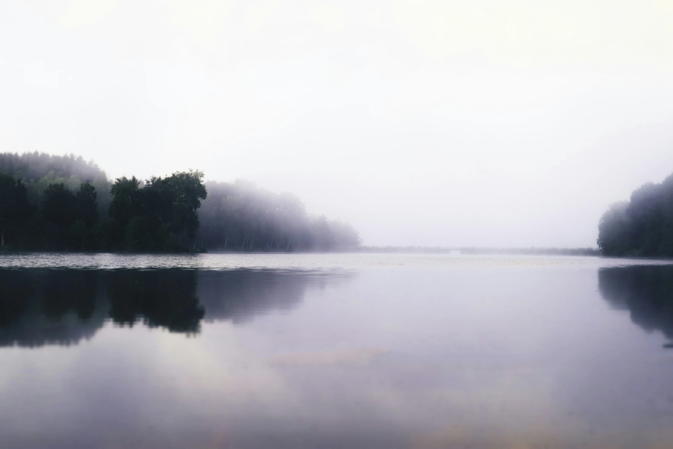 foggy lake with trees in the background