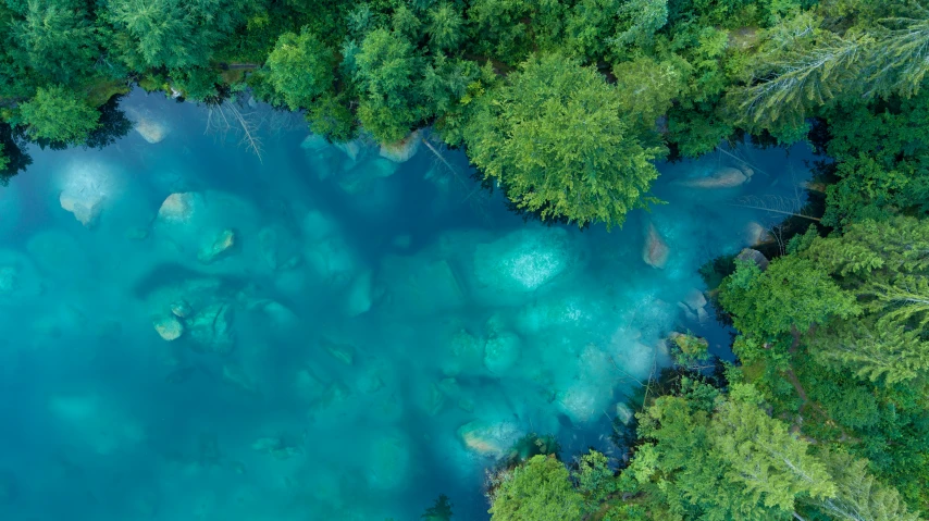 a blue lake surrounded by lush green trees