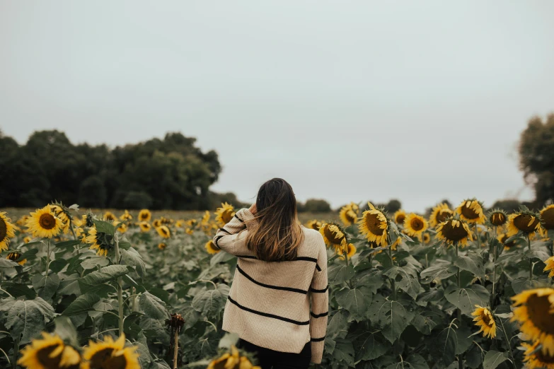 a woman walking through a field of sunflowers