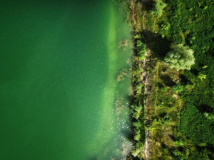 a beautiful, green lake surrounded by trees