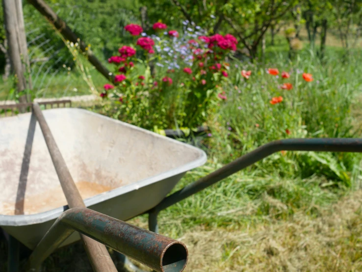 there is an old tub that is in the yard