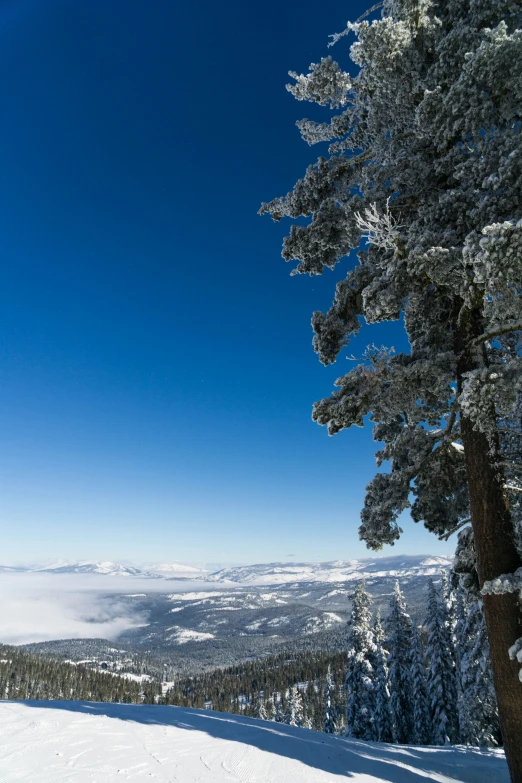 a person in snow suits is riding skis