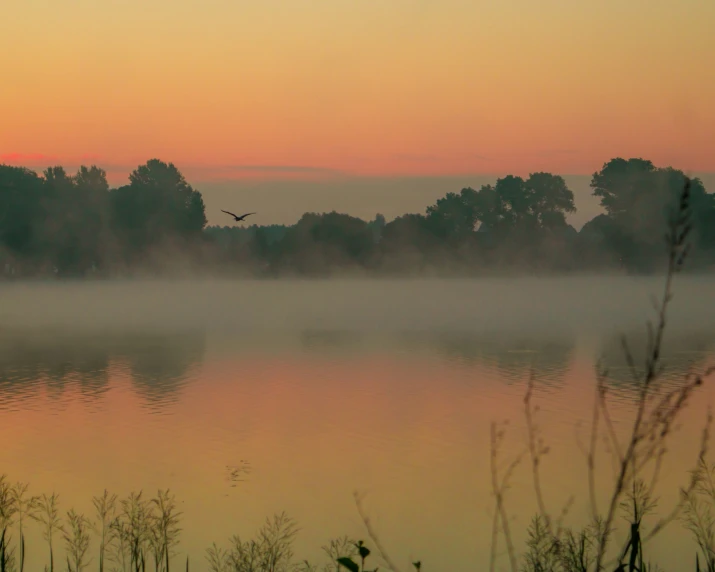 a lake and trees in the fog at sunset