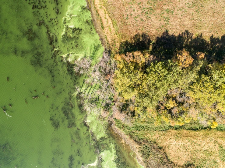 two pictures of a field and a river