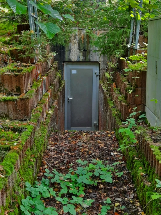 there is an outdoor outhouse with plants on the ground