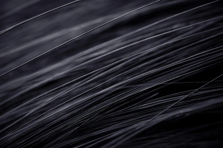 large black feather in motion as background