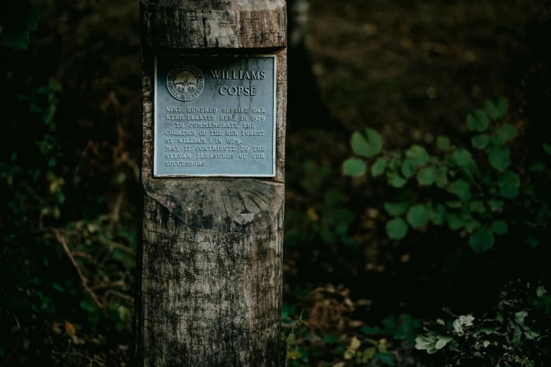 the plaque is on a small wooden pole