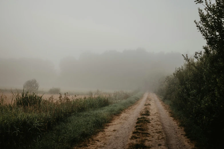 fog covers the landscape around a field and forest