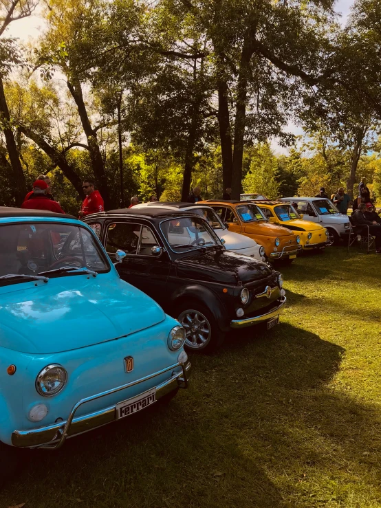 a bunch of different colored mini - cars that are parked in the grass