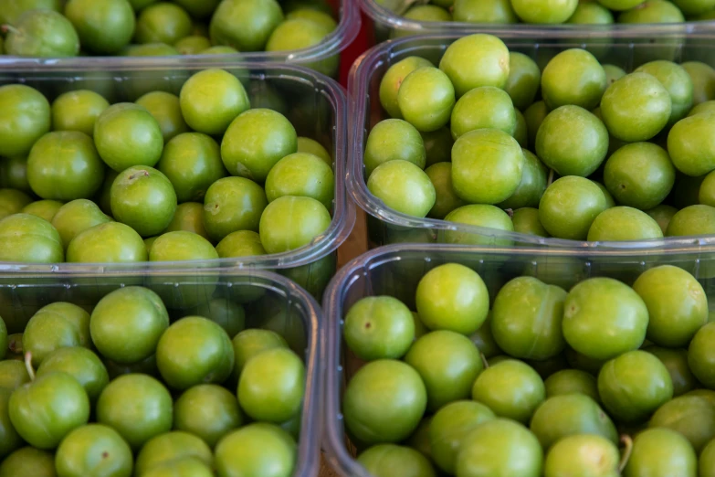 a container full of green apples on display