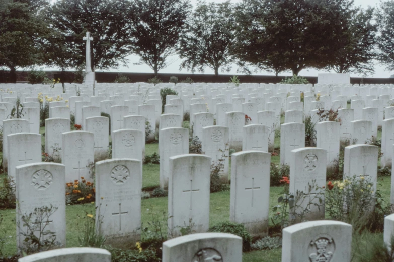 several tombstones and crosses are displayed in a cemetery