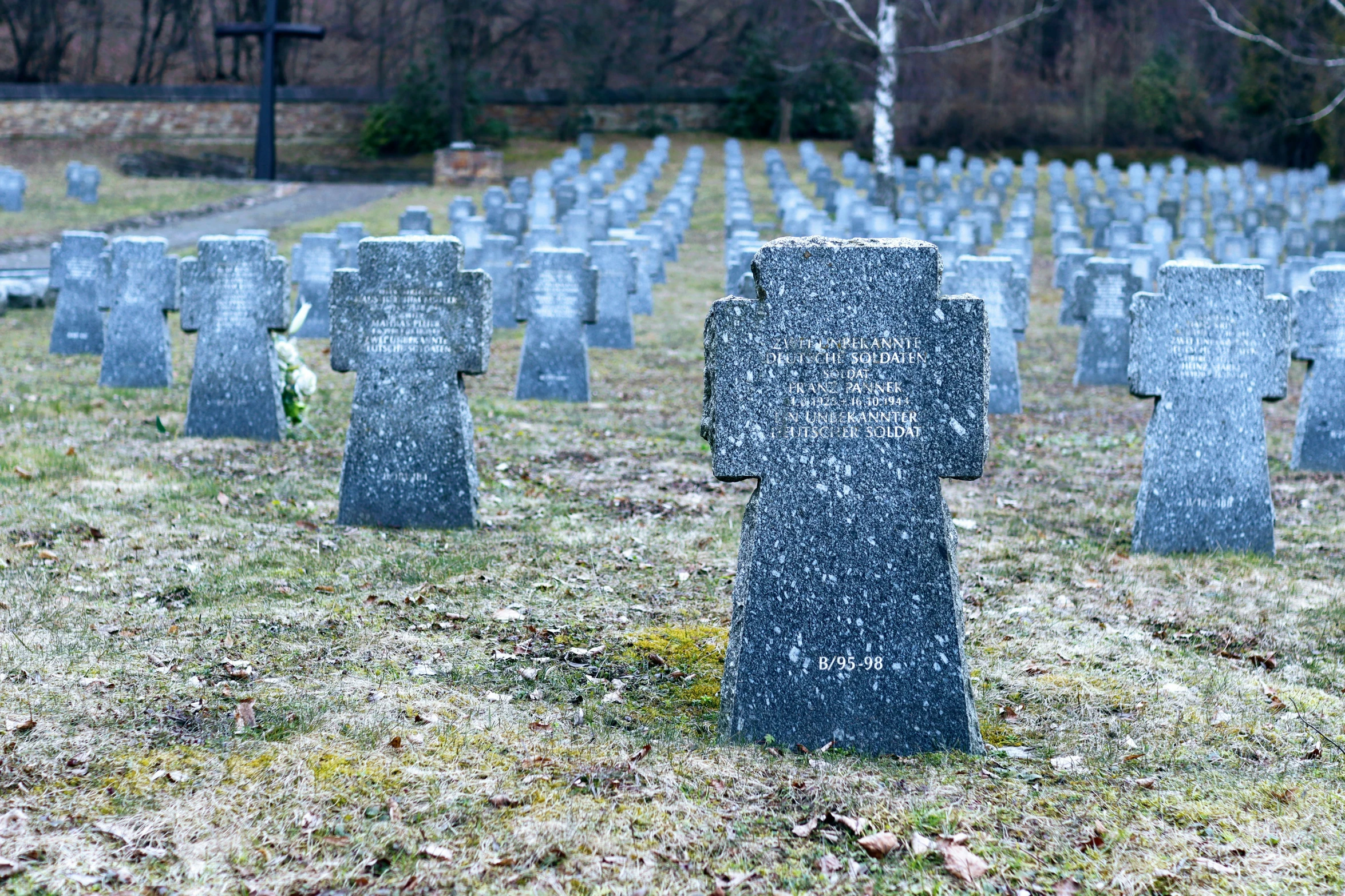 the tombstones in the cemetery are lined with names