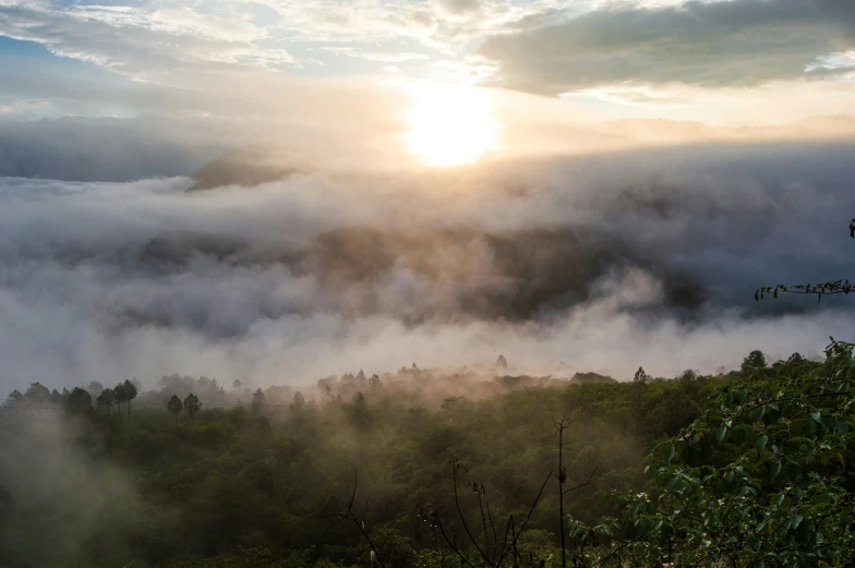 an image of a mountain with mist coming from the trees