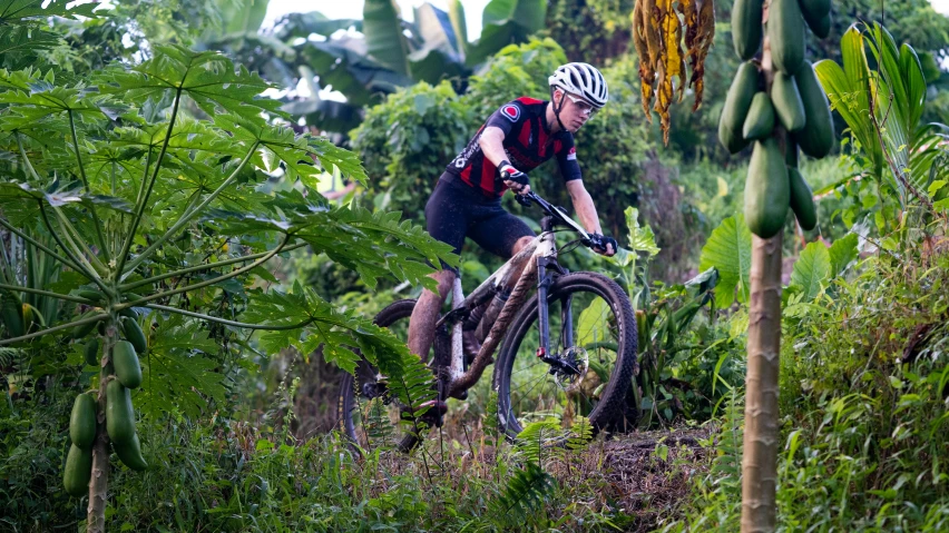 a cyclist is coming up a trail with lots of bananas