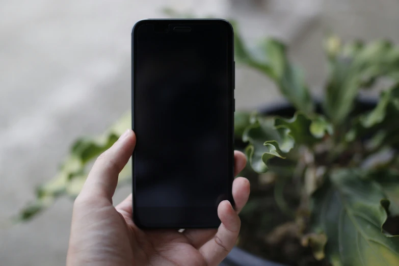 a person holds up a smart phone that's on their hand