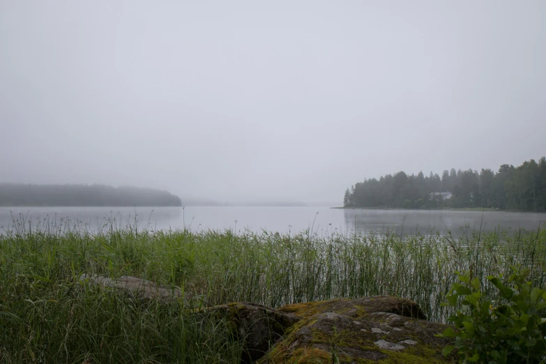 a foggy day on the lake and shore