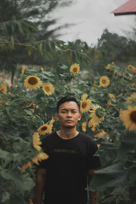 a man standing next to a large field of sunflowers