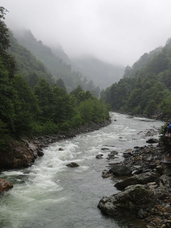 a person standing in front of a river in the jungle