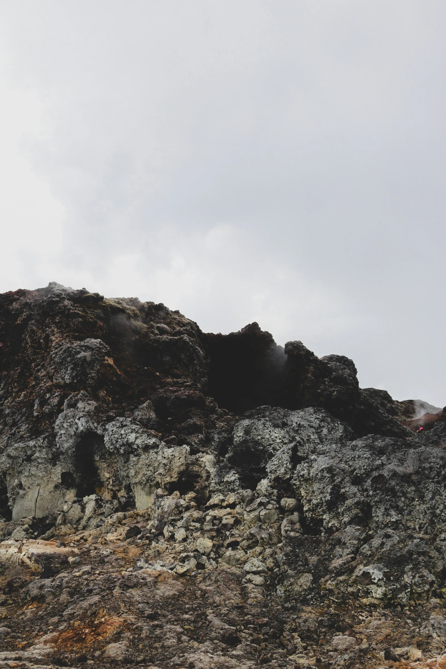 a small animal standing on the top of a large rock