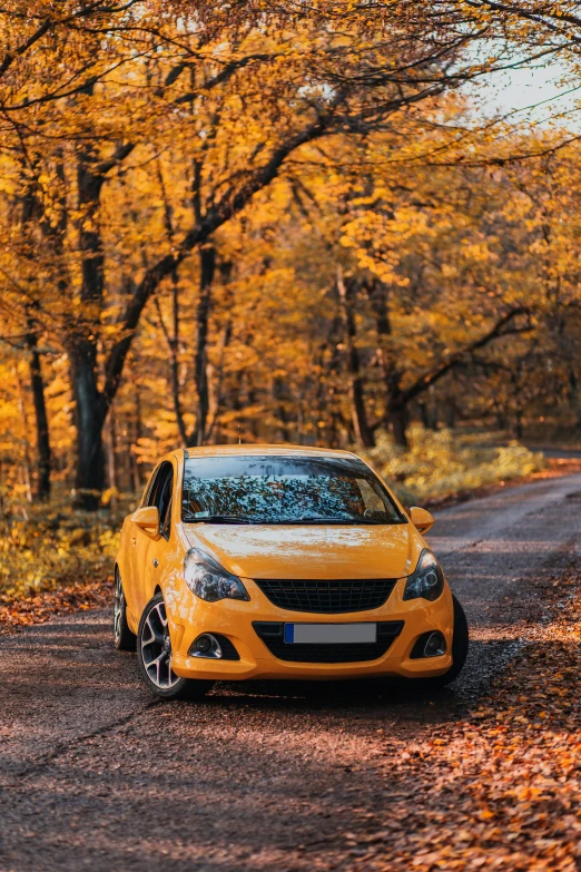 the car is parked along the side of the road in the woods