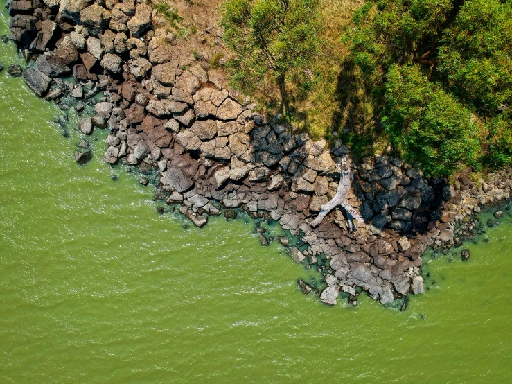 two people are standing at the edge of a river