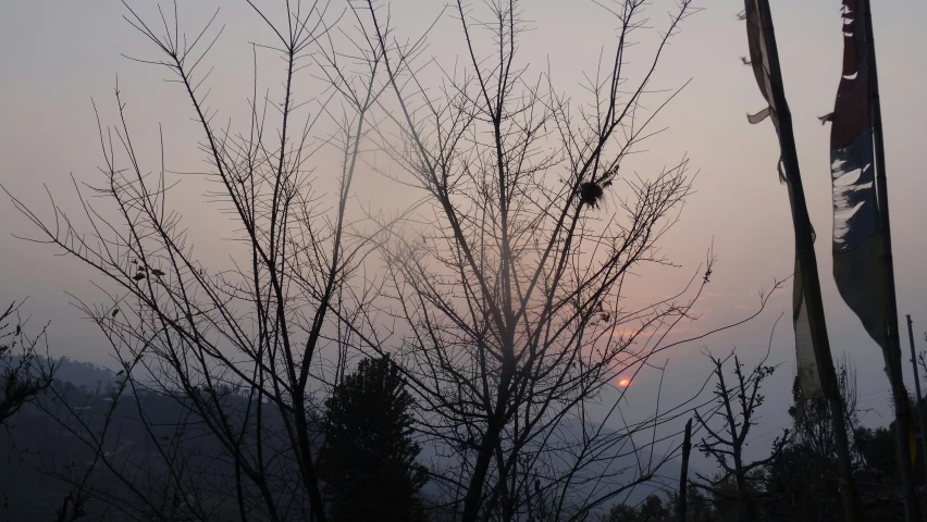 a sunset shines through some trees at a mountain