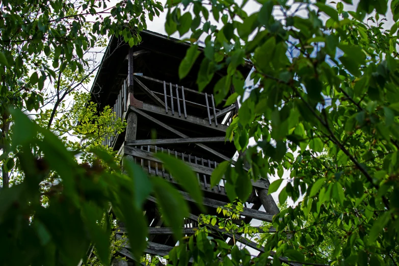 an old, wooden structure sitting among green leaves