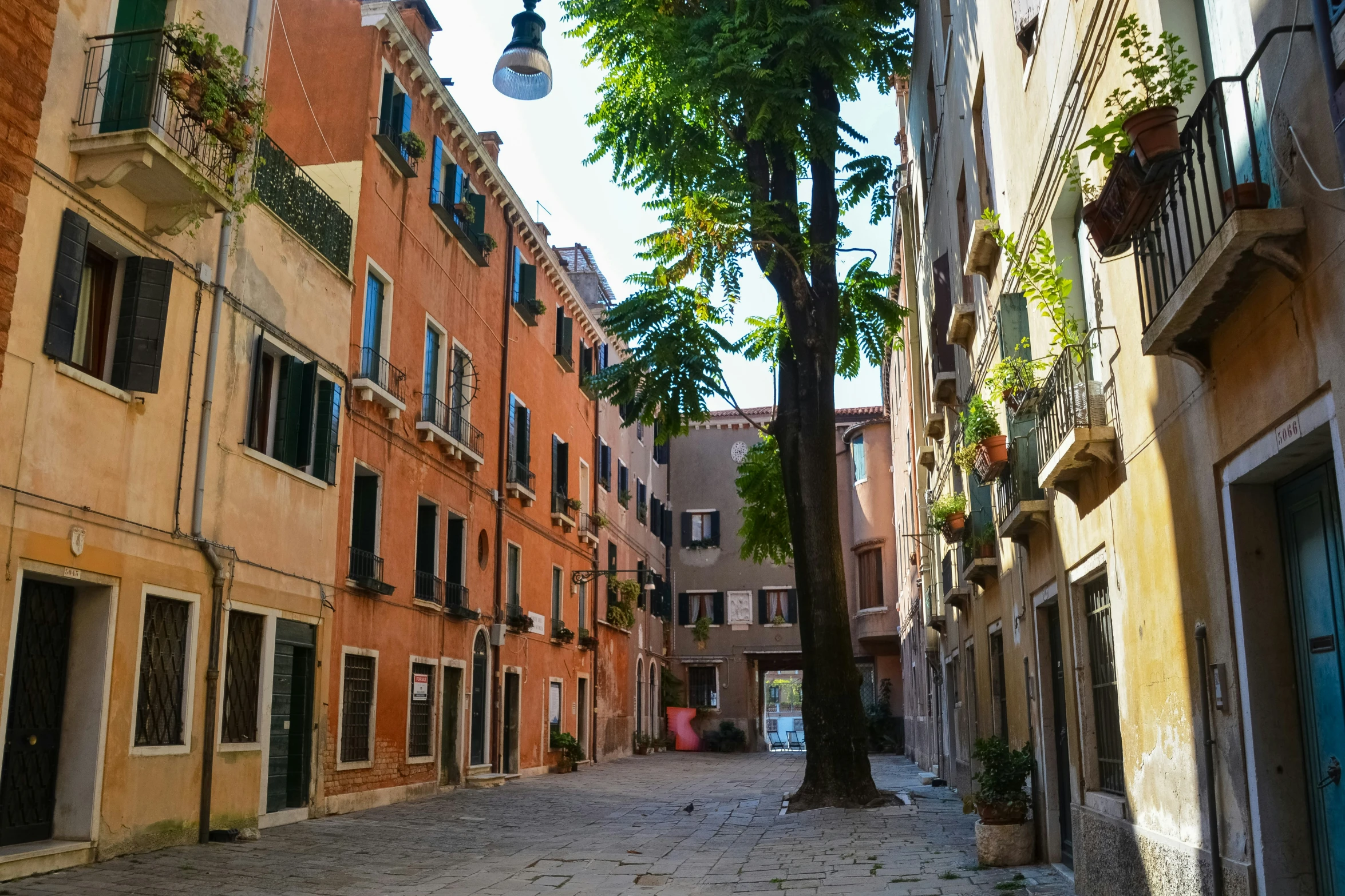 an empty alleyway between buildings with a large tree