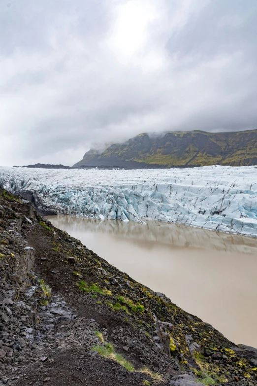 an icy landscape with water and green plants